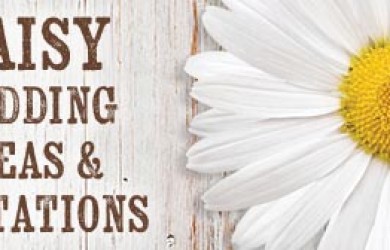 White daisy wedding ideas and invitations